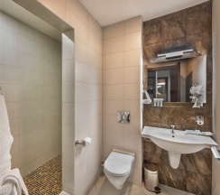 Джуниор сюит (Бизнес) в Аванта