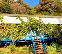 Эконом 2-х местный в Золотая бухта