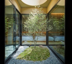 Люкс Premier в Agora Kyoto Karasuma
