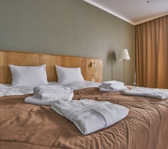 Двухместный номер Standard двуспальная кровать в Altyn Eco Park