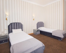Номер эконом №001 в Hotel central
