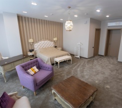 Президентский люкс в Volleygrad sports & health resort