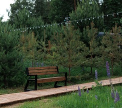 Дом в сосновом лесу в Хвоя