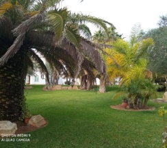 Коттедж с 2 комнатами в El Olivar de Roche Viejo