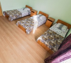Трехместный семейный номер с раздельными кроватями+ доп место, 1-4 человека в Гостевой дом