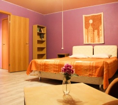 2-местный номер стандарт в Микли-Ольгино