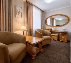 Junior Suite в Саратовский