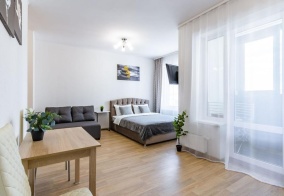 Апартаменты DreamHouse (ДримХаус) на Белинского 163Б в Екатеринбурге