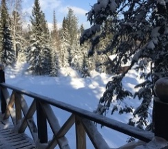 Студия с террасой в SkiPark