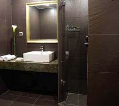 Номер Супериор с 1 двуспальной кроватью в Garden Hotel & SPA