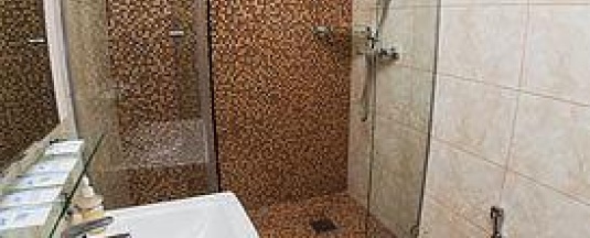 Номер полулюкс с 1 двуспальной кроватью в Otel elit