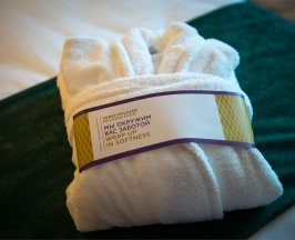 Номер Classic - с двуспальной кроватью в Mercure Саранск Центр