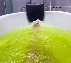 Четырёхместный номер Deluxe двуспальная кровать в Familia Hotel Jeju