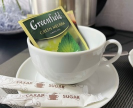 Двухместный стандартный номер с двухспальной кроватью (2) в Сплав