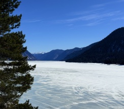 Дом в Елань