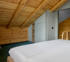 Вилла дуплекс апартаменты с бассейном в Маральник Altai Palace