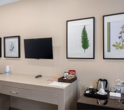 Бизнес с видом на парк в Kulibin Parkhotel&SPA 5*