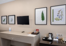 Бизнес с видом на парк в Kulibin Parkhotel&SPA 5*