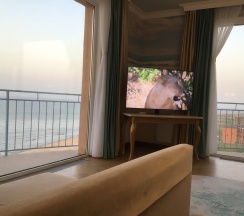 Четырёхместный номер Deluxe с 2 балконами с видом на море в Прибой 05