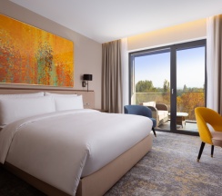 Двухместный номер Classic с балконом двуспальная кровать в Swissotel Wellness Resort Alatau Almaty