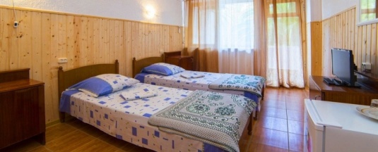 Двухместный номер в 9-этажном корпусе Улучшенный 2 отдельные кровати в Колхида