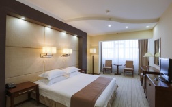 Номер стандарт с 1 двуспальной кроватью (с завтраком) в Sagaan Morin Hotel