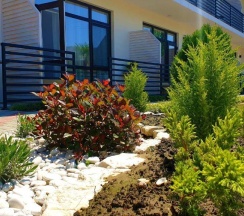 Двухместный номер Standard двуспальная кровать в Оазис Клаб Резорт