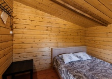 Номер эконом с 1 двуспальной кроватью в Алтайские Дачи 
