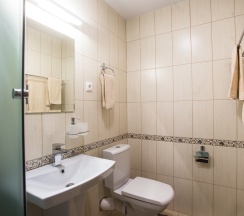 Твин 36 в Русский Двор