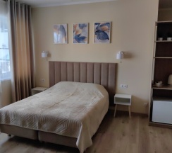 Улучшенный Стандарт в Sonya family hotel