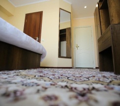 Двухместный номер Standard двуспальная кровать в Altai Business Hotel