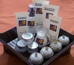 Двухместный люкс Luxury двуспальная кровать в Bangkok Natural Spa Resort and Suite