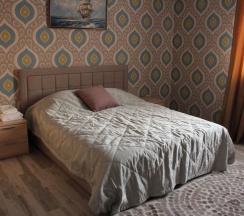 Номер стандарт с 1 двуспальной кроватью в Белые ивы