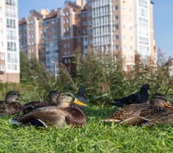 Квартира в Апартаменты на Тургенева,16а