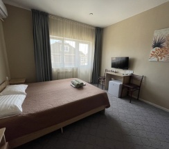 Двухместный номер Standard с балконом и с красивым видом из окна двуспальная кровать в Гранат