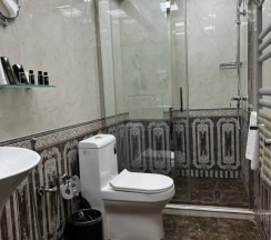 Одноместный номер Deluxe в Baku Hotel