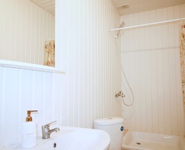 Standard одноместный (мансарда) в Круиз Румянцево