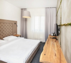 Двухместный номер Standard с видом на город двуспальная кровать в У медового моста