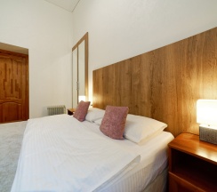 Двухместный номер с двуспальной кроватью в Светлый у Эрмитажа