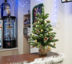 Кровать в Мужском 8-местном номере в Timelapse