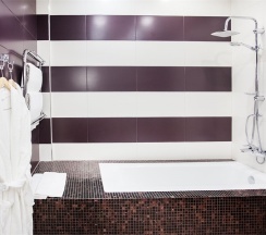 Полулюкс в City&business hotel