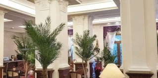 Лариса: Отель Grecotel Larissa Imperial