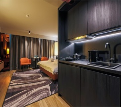 Mercure Superior в Mercure Hotel and Residences Saint Petersburg