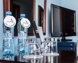 Стандартный номер в Александровский сад