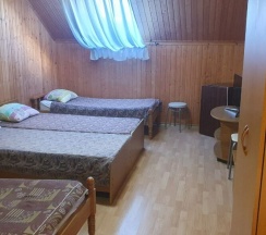 Четырехместный эколюкс с мансардным окном в Мама