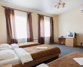 Эконом трёхместный в Волга-Волга