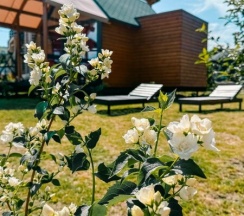 Домик Лисы в Лисички-сестрички