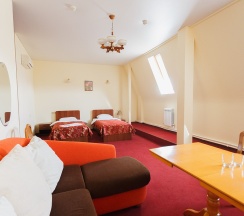 Стандарт двухместный ПЛЮС в Волга-Волга