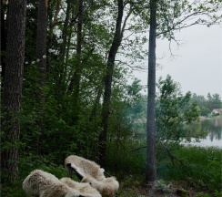 Панорамный дом Reykjavik в Eder Vuoksa