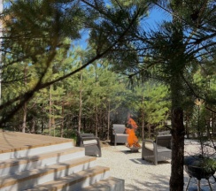 Бельгия в BamBoo Village